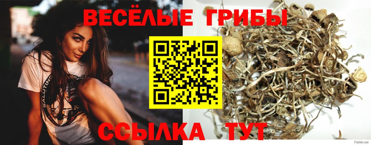 Псилоцибиновые грибы Magic Shrooms  Галлюциногенные грибы ЛСД  Вход с VPN  Сарапул 